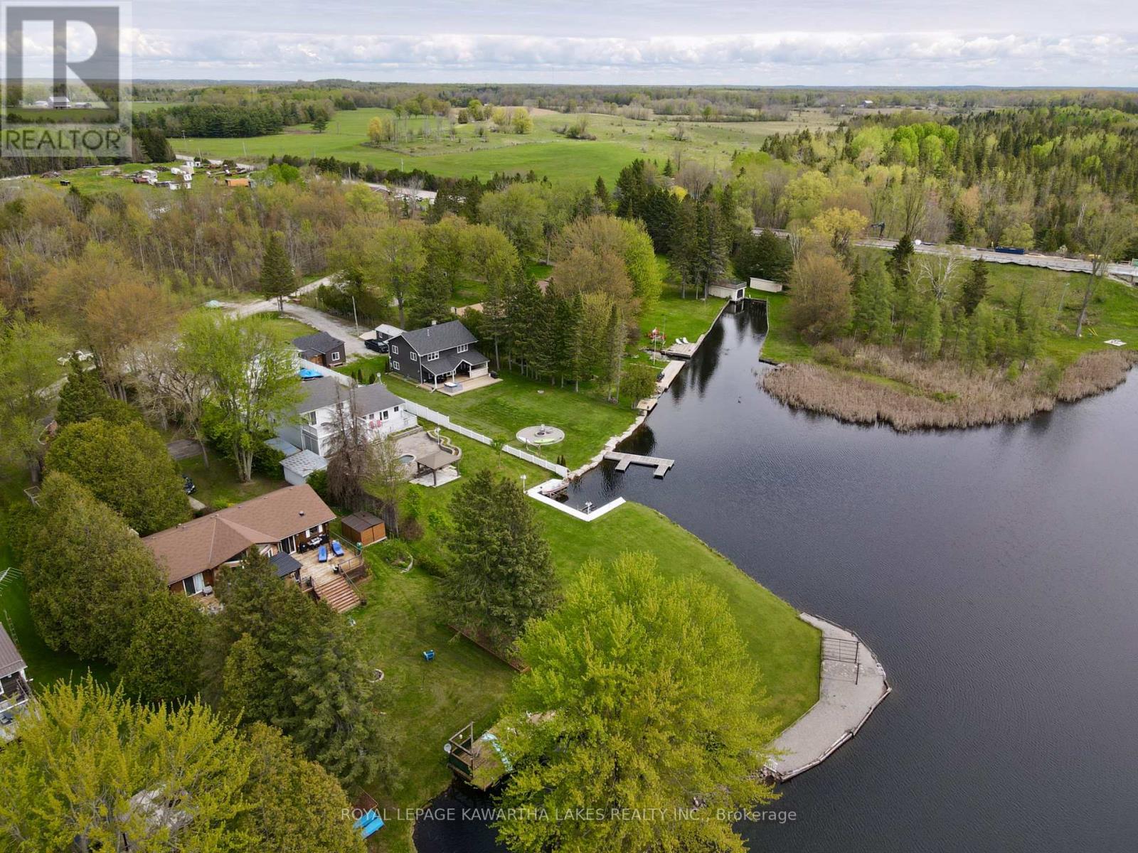 21 Trent View Road, Kawartha Lakes, Ontario  K0M 2B0 - Photo 3 - X11991008
