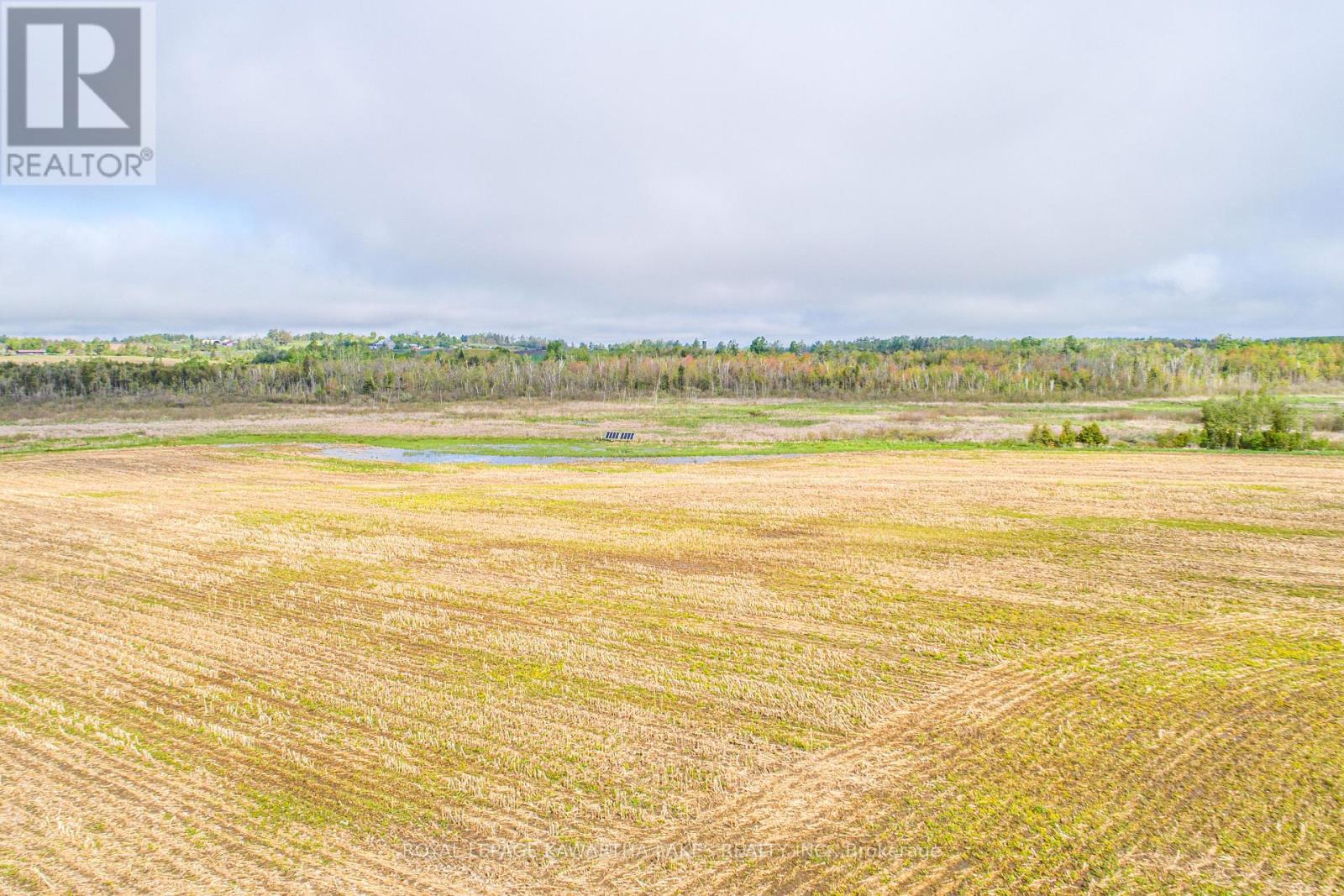 1937 Glenarm Road, Kawartha Lakes, Ontario  K0M 1G0 - Photo 41 - X11991212
