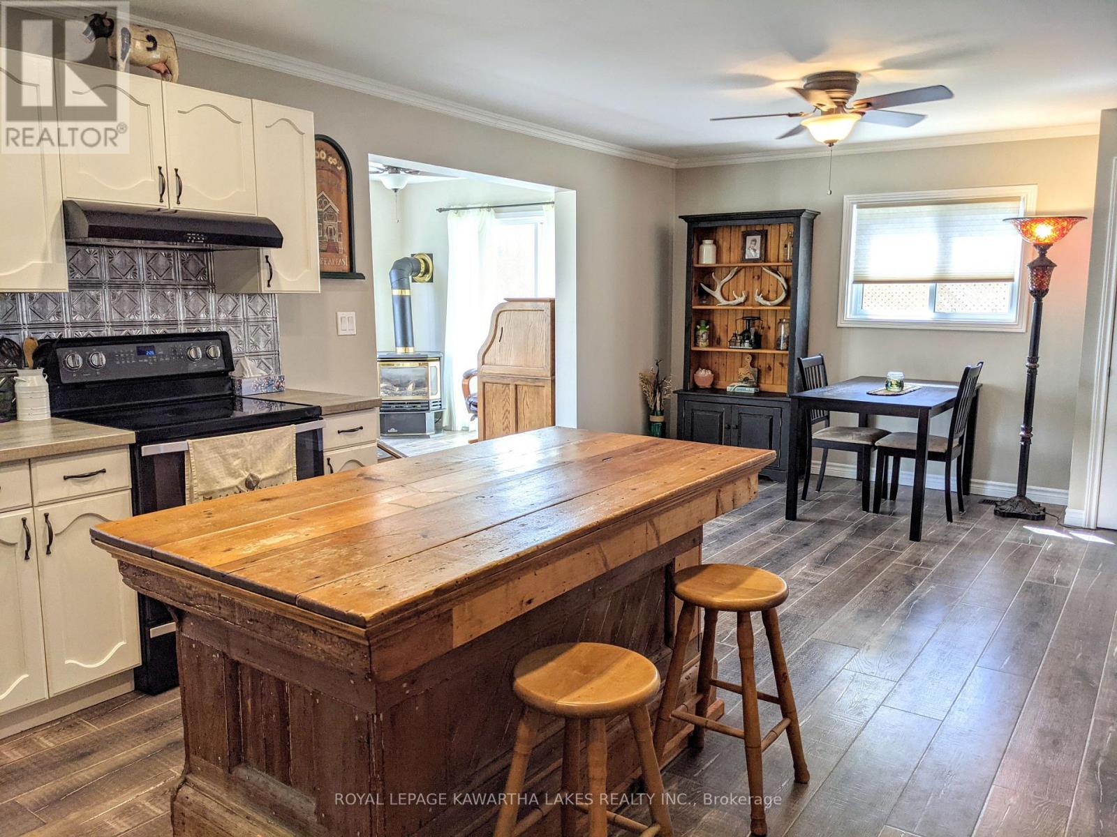 21 Pleasure Street, Kawartha Lakes, Ontario  K0M 1G0 - Photo 4 - X11996271