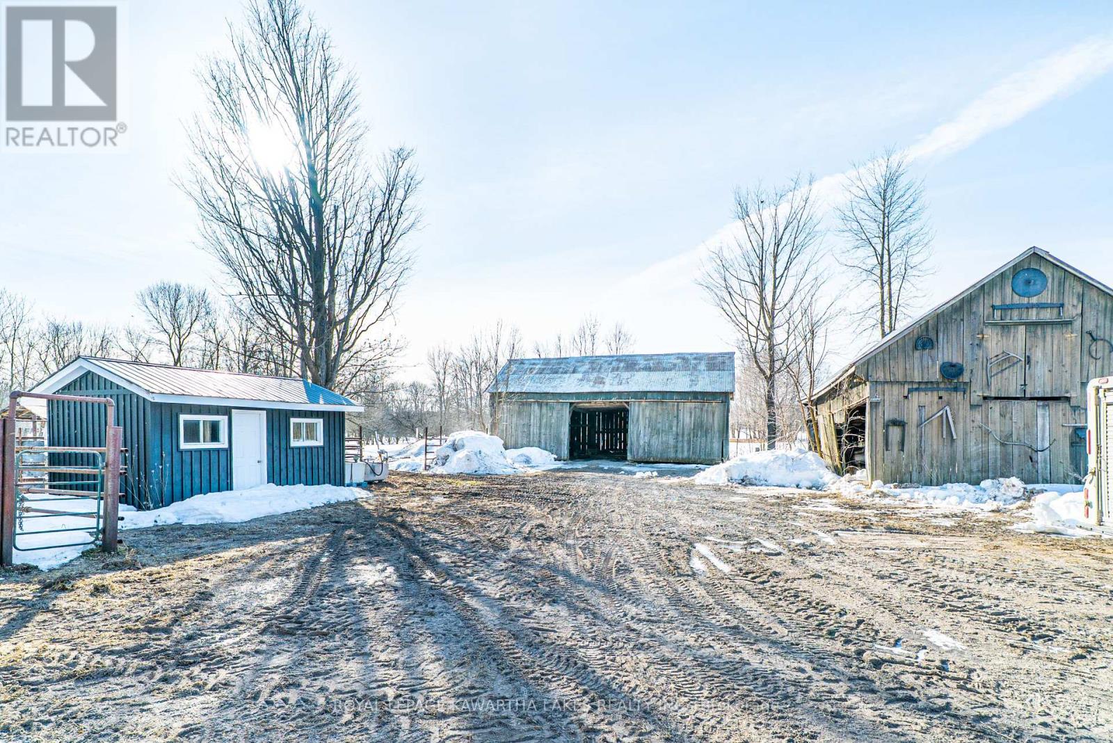 94 Avery Point Road, Kawartha Lakes, Ontario  L0K 1W0 - Photo 44 - X12019340