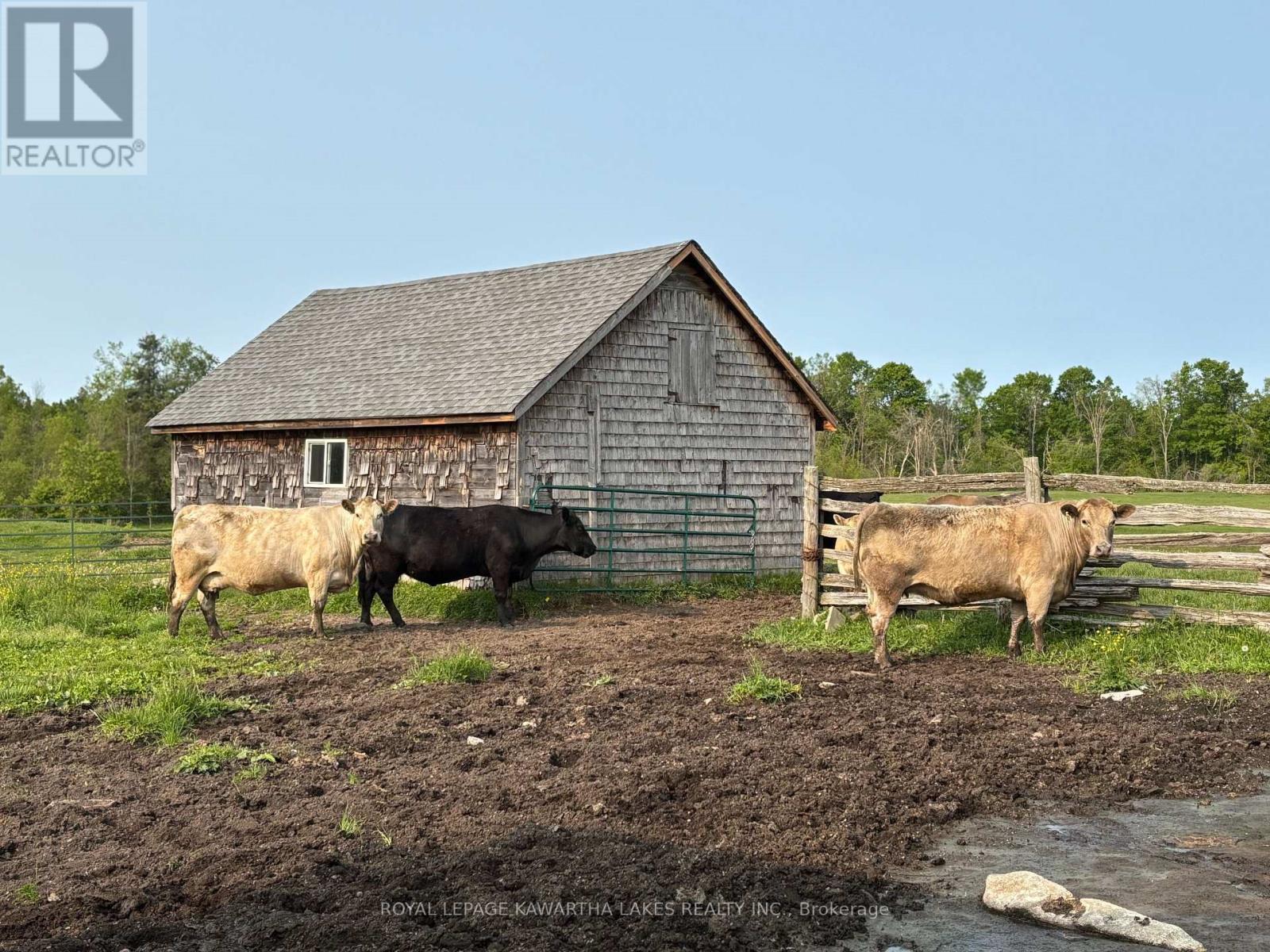 2433 County Road 121 Road, Kawartha Lakes, Ontario  K0M 1C0 - Photo 15 - X12191256