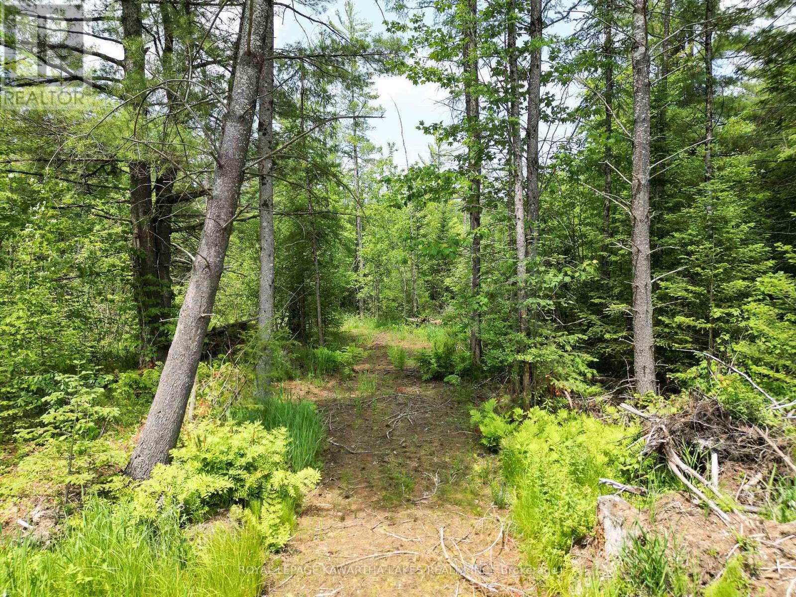 Lot 8 Watson Drive, Kawartha Lakes, Ontario  K0M 1C0 - Photo 11 - X12214982