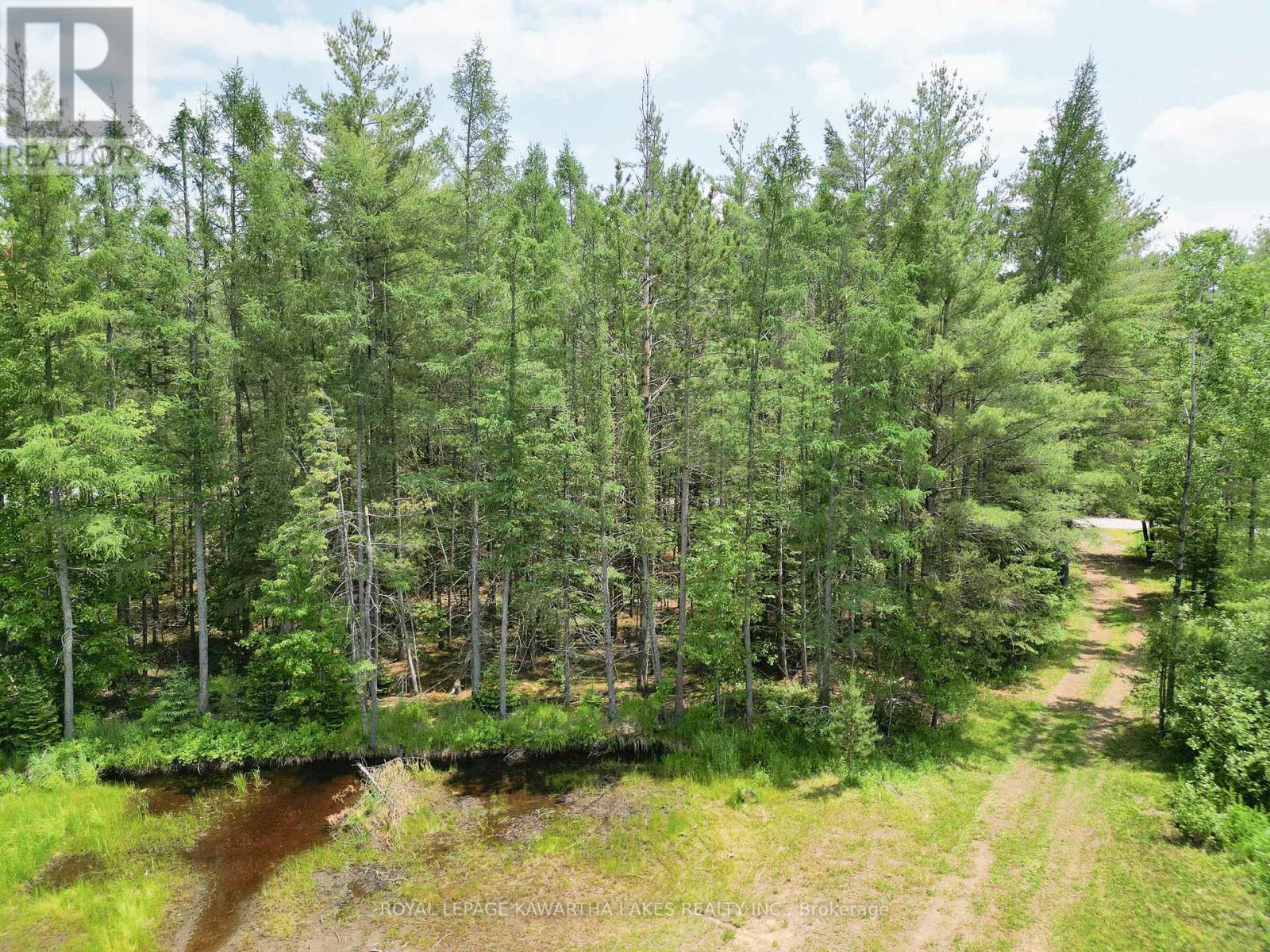 Lot 8 Watson Drive, Kawartha Lakes, Ontario  K0M 1C0 - Photo 14 - X12214982