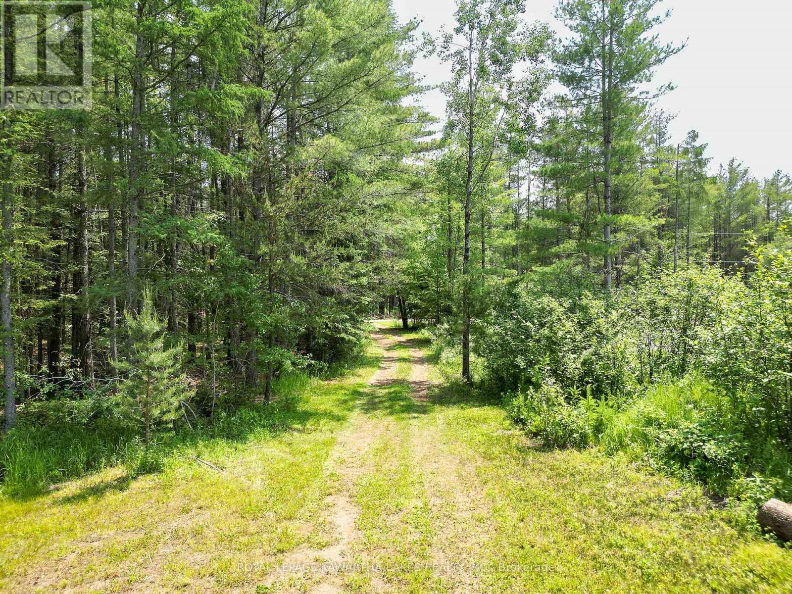 Lot 8 Watson Drive, Kawartha Lakes, Ontario  K0M 1C0 - Photo 15 - X12214982