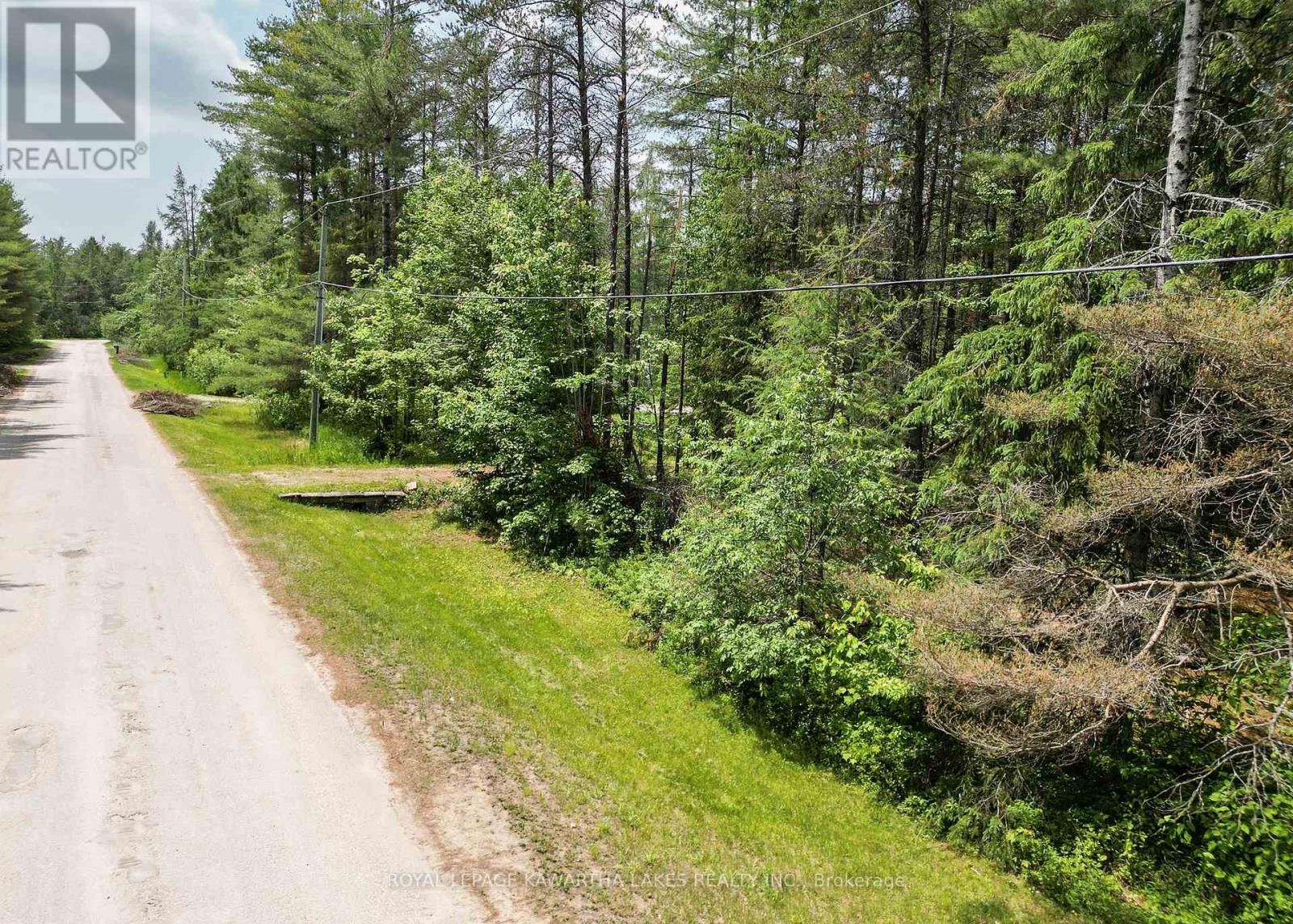 Lot 8 Watson Drive, Kawartha Lakes, Ontario  K0M 1C0 - Photo 4 - X12214982