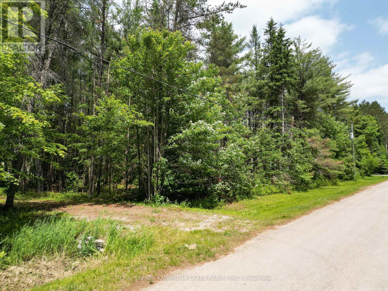 Lot 8 Watson Drive, Kawartha Lakes, Ontario  K0M 1C0 - Photo 5 - X12214982