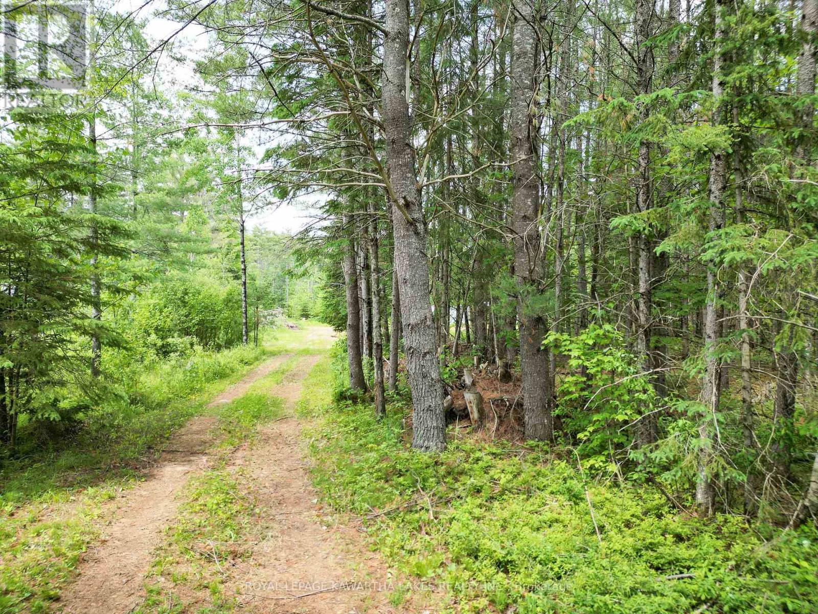 Lot 8 Watson Drive, Kawartha Lakes, Ontario  K0M 1C0 - Photo 7 - X12214982