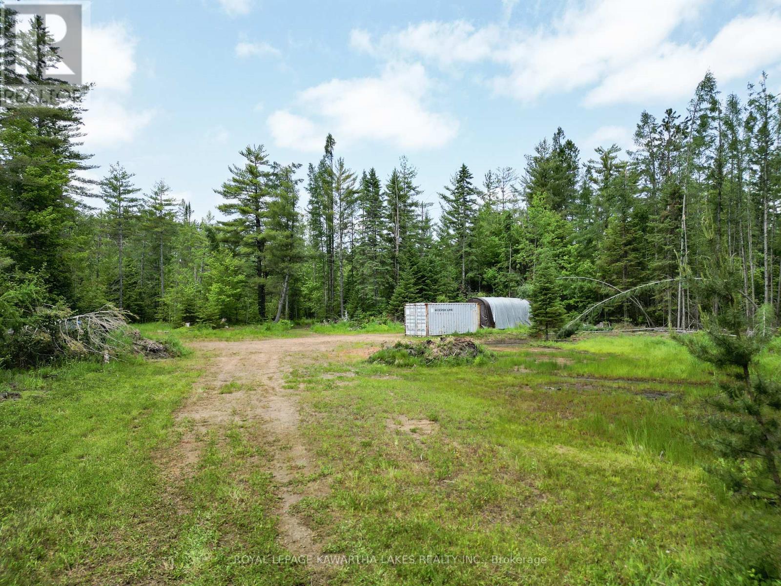 Lot 8 Watson Drive, Kawartha Lakes, Ontario  K0M 1C0 - Photo 8 - X12214982