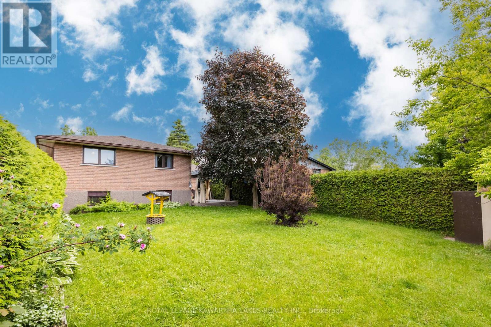 12 Hillside Drive, Kawartha Lakes, Ontario  K9V 1A4 - Photo 34 - X12215114